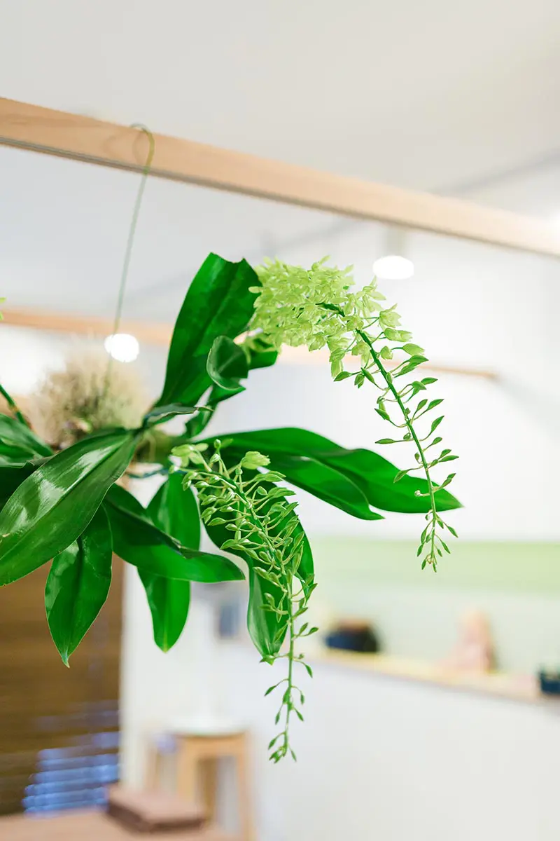 早ければ早いほどいい